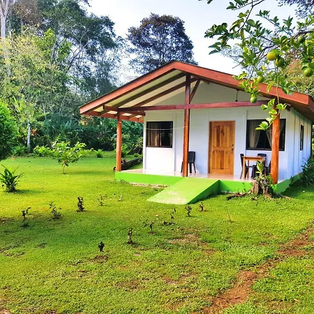 Hotel & Cabinas Nadine Cahuita Exterior photo