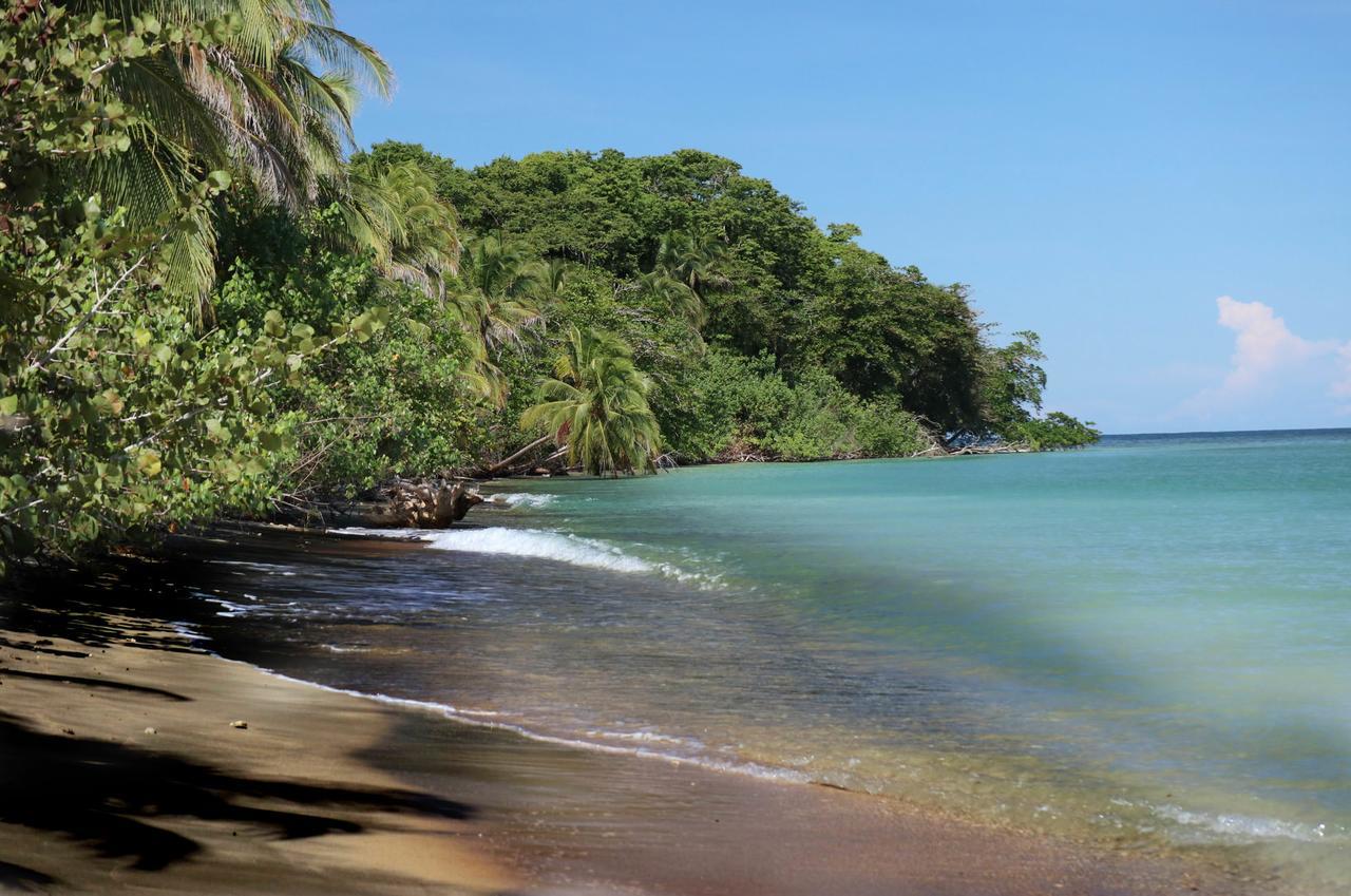 & Cabinas Nadine Lodge Cahuita
