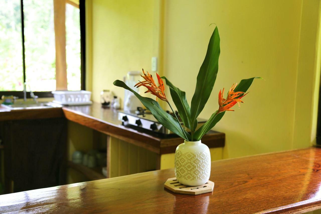 & Cabinas Nadine Lodge Cahuita