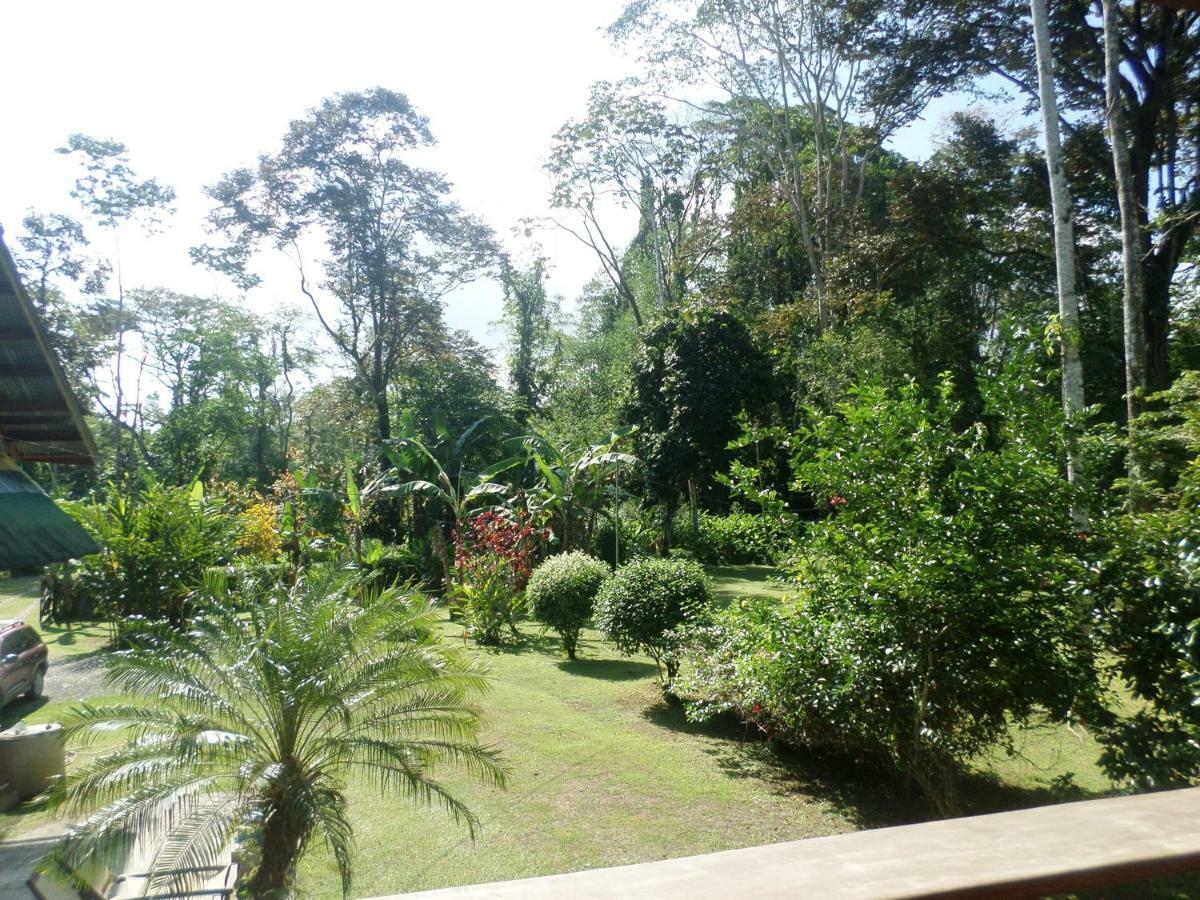 Lodge & Cabinas Nadine *